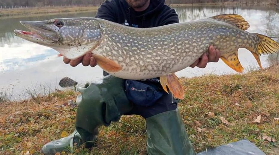 Lake Fishing Resort Lukinic Brdo Exterior photo